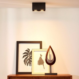 Spot de plafond Bodi (2 lumieres)