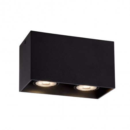 Spot de plafond Bodi (2 lumieres)