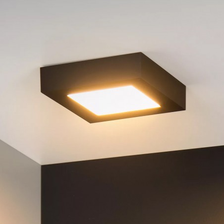 Downlight á LED pour bains Brice Square (15W)