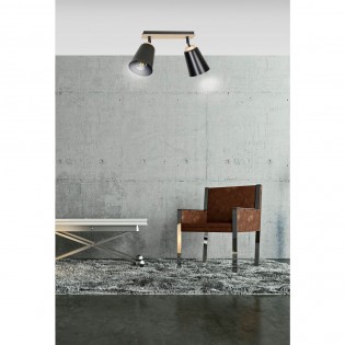 Regletté de plafond Tasla Noir (2 lumieres)