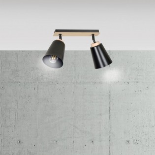 Regletté de plafond Tasla Noir (2 lumieres)