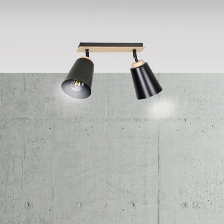 Regletté de plafond Tasla Noir (2 lumieres)
