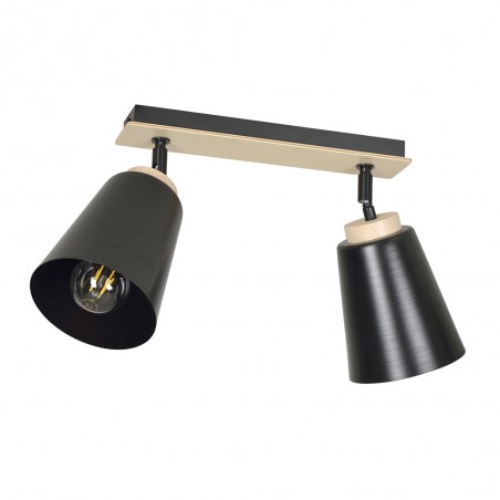 Regletté de plafond Tasla Noir (2 lumieres)