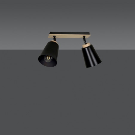Regletté de plafond Tasla Noir (2 lumieres)