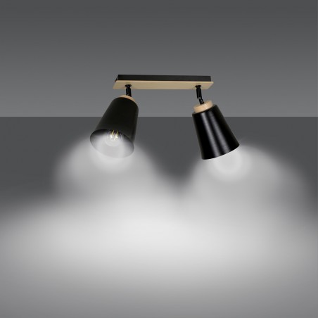 Regletté de plafond Tasla Noir (2 lumieres)