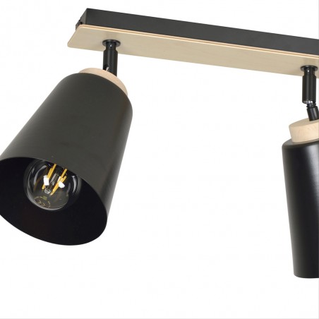 Regletté de plafond Tasla Noir (2 lumieres)