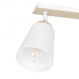 Regletté de plafond Tasla Blanc (2 lumieres)