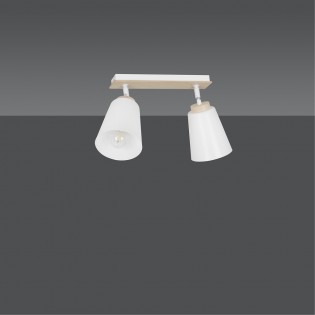 Regletté de plafond Tasla Blanc (2 lumieres)