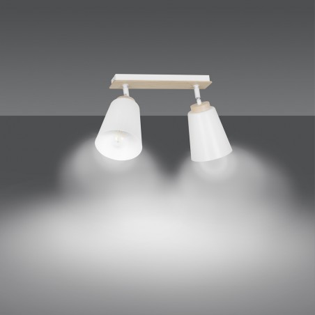Regletté de plafond Tasla Blanc (2 lumieres)