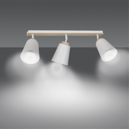 Regletté de plafond Tasla Blanc (3 lumieres)