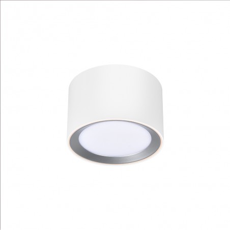 Plafonnier á LED Landon Smart (8W)