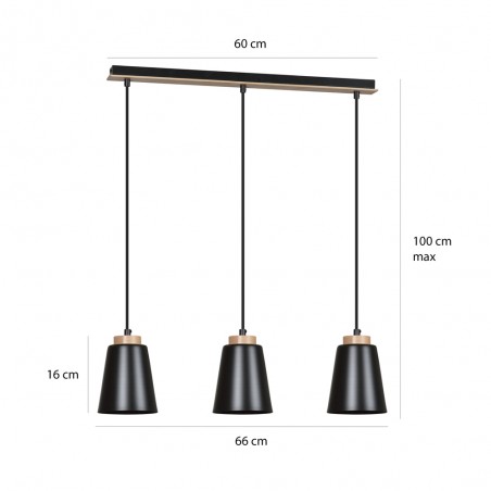Regletté de plafond Lasso Noir (3 lumieres)