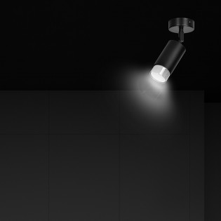 Spot de plafond orientable Mura Noir/Chrome