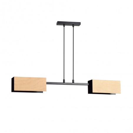Lampe de plafond Perta Noir (2 lumieres)