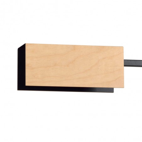 Lampe de plafond Perta Noir (2 lumieres)