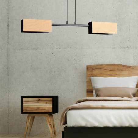 Lampe de plafond Perta Noir (2 lumieres)