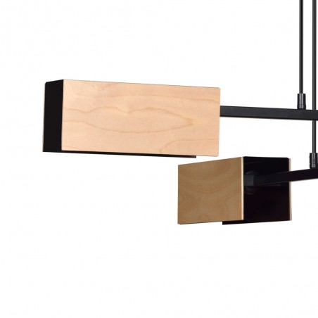Lampe de plafond Perta Noir (4 lumieres)