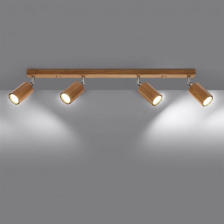 Réglette de plafond Zeke (4 Lumieres)