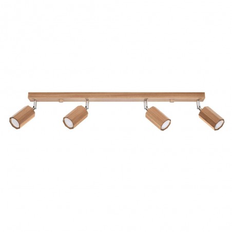 Réglette de plafond Zeke (4 Lumieres)