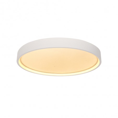 Plafonnier LED Aster (30W)