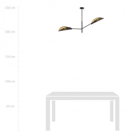 Lampe de plafond Cano Noir (2 lumieres)