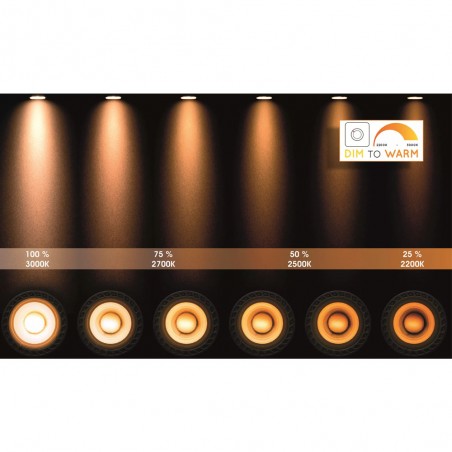 Spot de plafond á LED Delto Rond (5W)