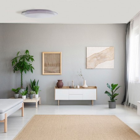 Plafonnier à LED Nelia (40W)