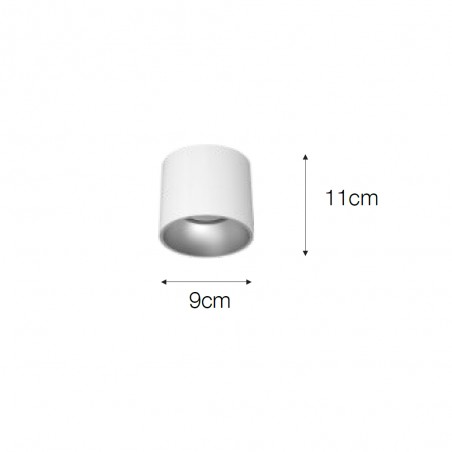 Spot de plafond Iris II