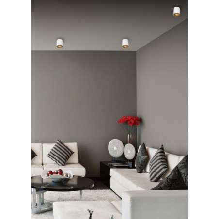 Spot de plafond Iris II