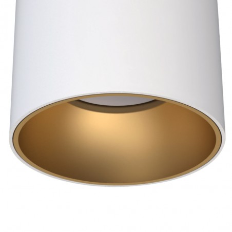 Spot de plafond Iris II