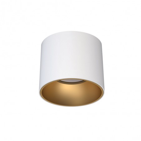 Spot de plafond Iris II