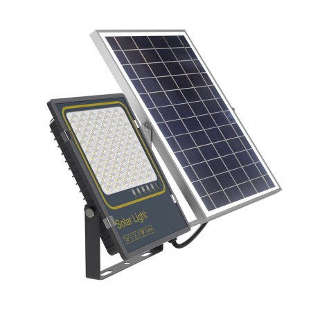 Projecteur solaire à LED pour l'extérieur Bee (300W)