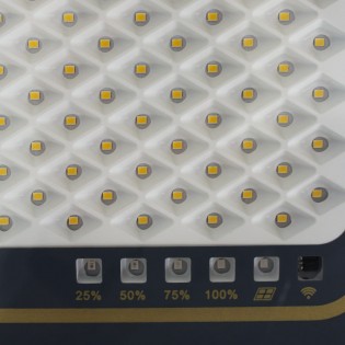 Projecteur solaire à LED pour l'extérieur Bee (300W)