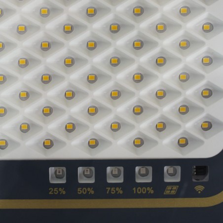 Projecteur solaire à LED pour l'extérieur Bee (300W)