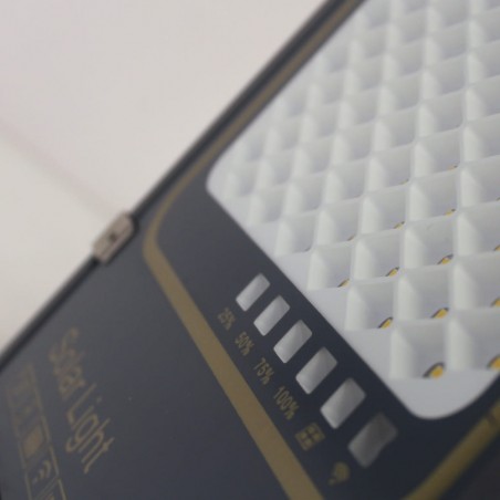 Projecteur solaire à LED pour l'extérieur Bee (300W)