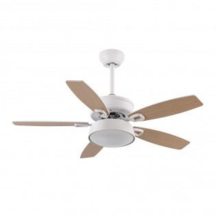 Ventilateur de plafond Led Braw CCT (30W)