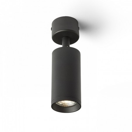 Projecteur de plafond Belenos