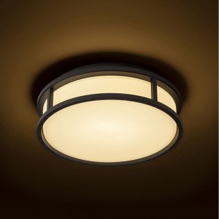 Plafond de la salle de bains LED Grande (12W)
