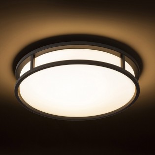 Plafond de la salle de bains LED Grande (24W)
