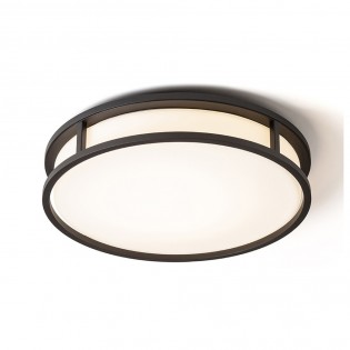 Plafond de la salle de bains LED Grande (24W)