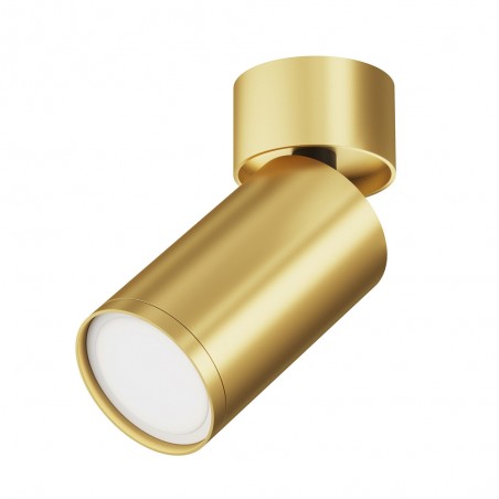Spot de plafond orientable Focus S II
