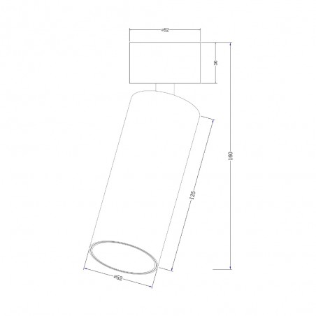 Spot de plafond orientable Focus LED (12W)