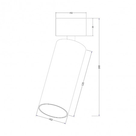 Spot de plafond orientable Focus LED Dim (12W)