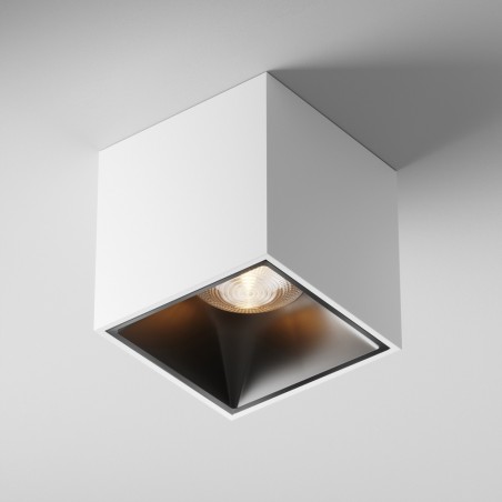Spot de plafond Alfa LED II (12W)