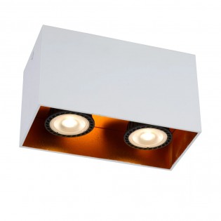 Regletté de plafond Bido (2 lumieres)