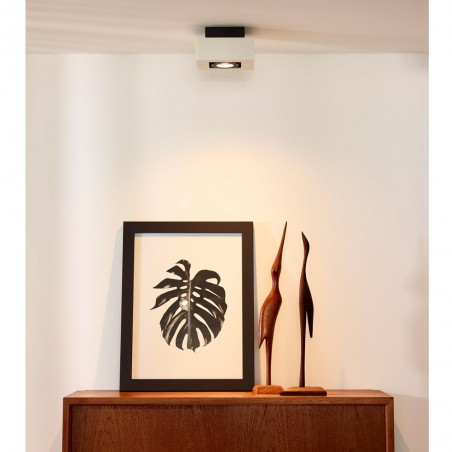 Spot de plafond LED Xirax (5W)