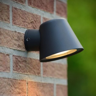 Applique Murale d'exterieur Dingo LED (5W)