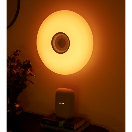 Plafonnier LED avec haut-parleur Djay Smart (21W)