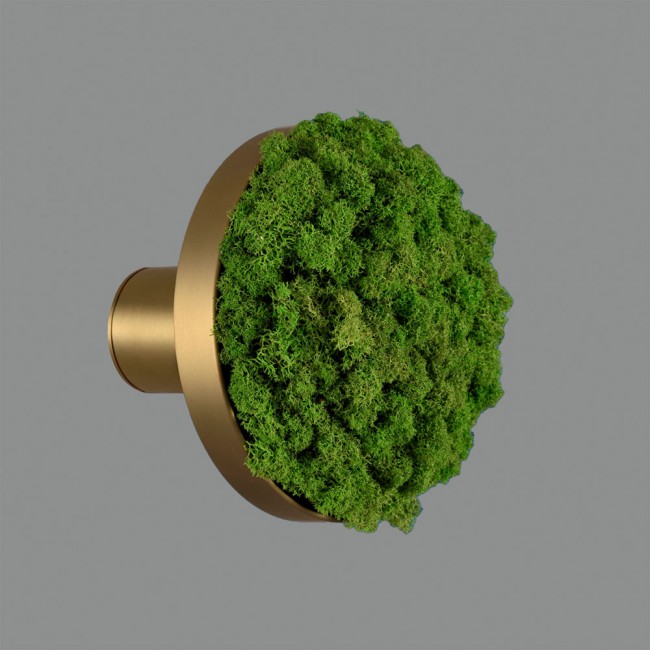 Applique Murale á LED Chamaleon Moss (10.5W)