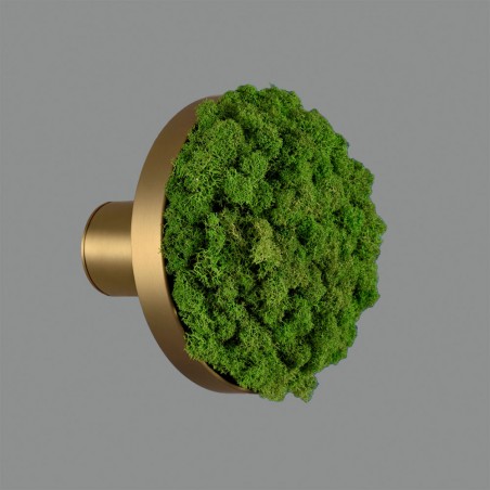 Applique Murale á LED Chamaleon Moss (10.5W)